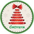 СНОУ БУМ