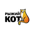 Рыжий кот