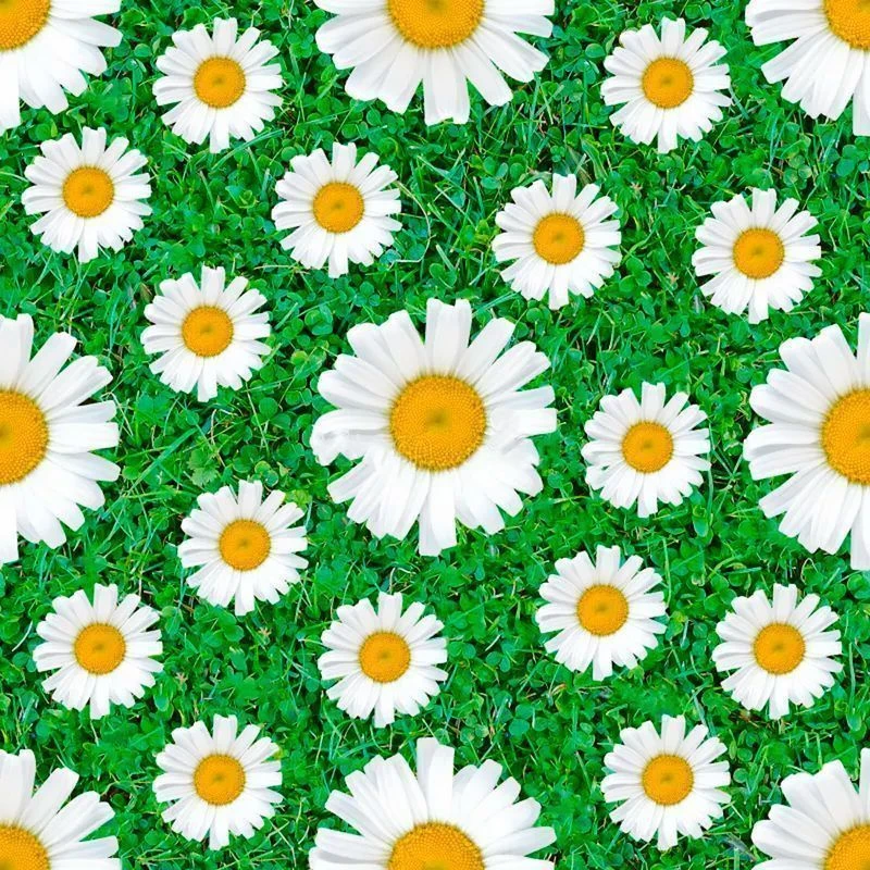 Клеенка ПВХ на нетканой основе АМАРАНТ 1,4*20м