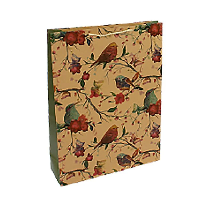 Пакет крафт 33*45*10см вертикальный Пташки 22/1016(12/180)