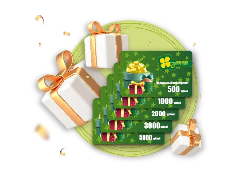 Монтажная область 81 копия.jpg Монтажная область 81 копия.jpg