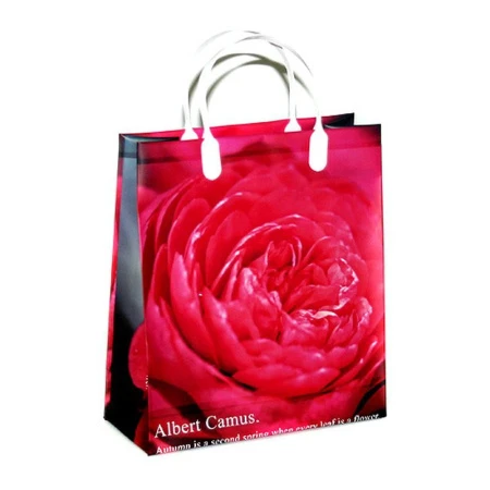 Пакет с пластиковой ручкой 23*25*10см Макро-пион 01-066 мал. (20/200)