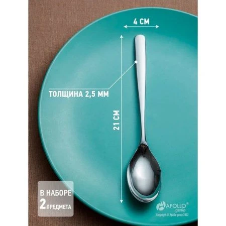 Ложки столовые набор 2шт нерж.сталь Rona RON-42 (12/96)