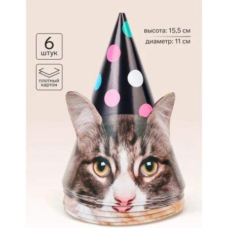 Колпаки Котики фотографичные набор 6шт 11049894
