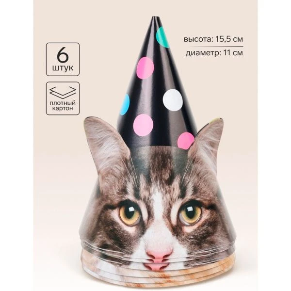 Колпаки Котики фотографичные набор 6шт 11049894