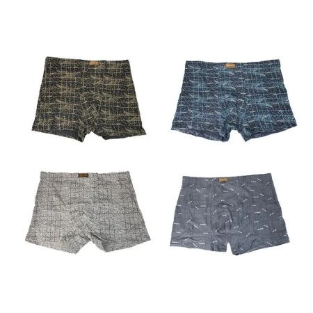 Трусы мужские в ассортименте FUKAI (гигант)