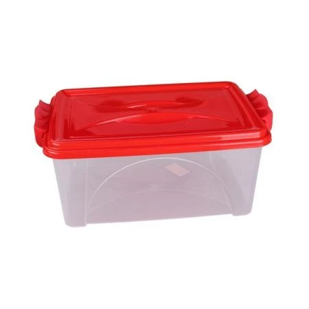 Контейнер для хранения 4,5л прямоугольный с ручками (10)