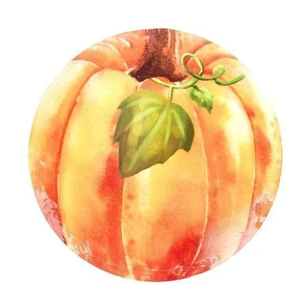 Подставка под горячее с пробкой 16*16*0,5см керамика ТЫКВА подар.уп. (6) ВЫВОД