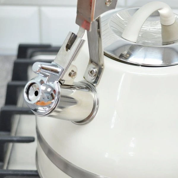 Чайник со свистком 3л нерж.сталь матовый бежевая ручка (12)