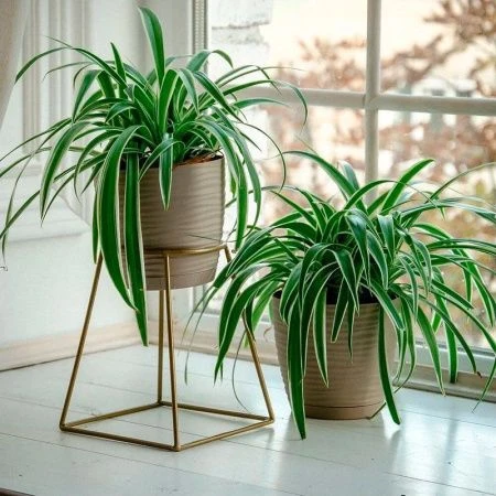 Подставка для цветков на подоконник d12см 15*19см металл ЛОФТ золото 66-610 G (1)