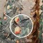Скатерть новогодняя 160*300см гобелен ЕЛИ ТИВОЛИ серебряный люрекс овальная