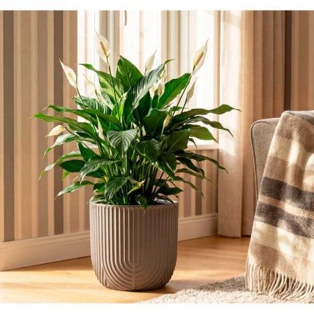 Кашпо 7,8л 280мм пластик РАМОНА со вставкой французcкий серый (1)