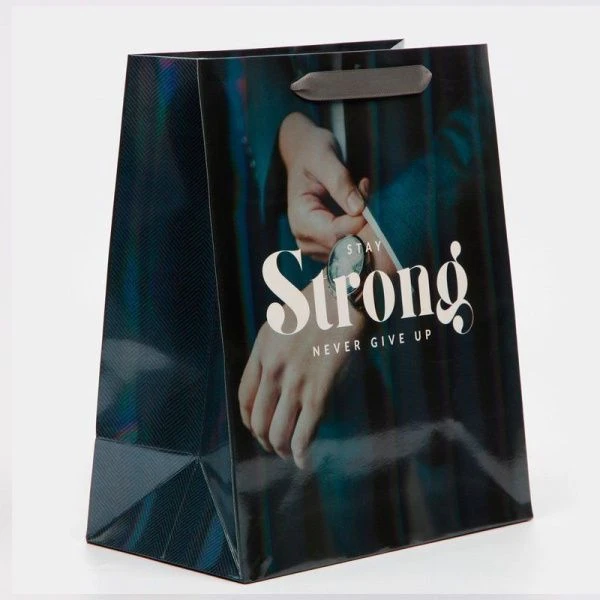 Пакет ламинированный «23*27*11,5см Никогда не сдавайся