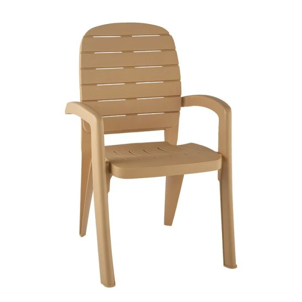 Кресло 58*60*91,5см пластик ПРОВАНС бежевый (1) Кресло 58*60*91,5см пластик ПРОВАНС бежевый (1)