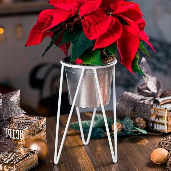 Подставка для цветков на подоконник металл Лофт белая d12см 14*22см 66-609 W (1)