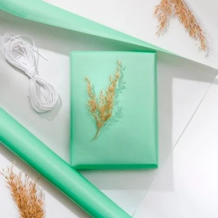 Бумага упаковочная 50*70см Перламутровая мятная 9285125