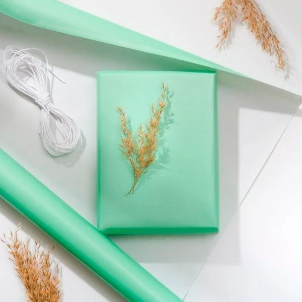 Бумага упаковочная 50*70см Перламутровая мятная 9285125