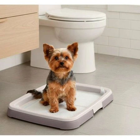 Лоток для собак под пеленку 45*34см пластик смоки (5)