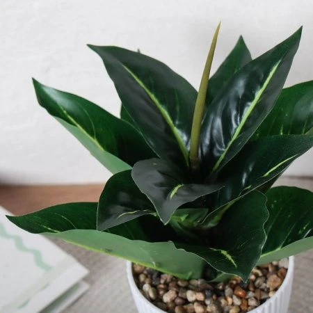 Цветы искусственные Диффенбахия 26см пластик 9090-12 (12/72)