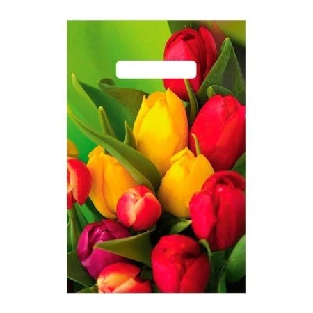 Пакет с вырубной неусиленной ручкой 20*30 Спринг 30мкм