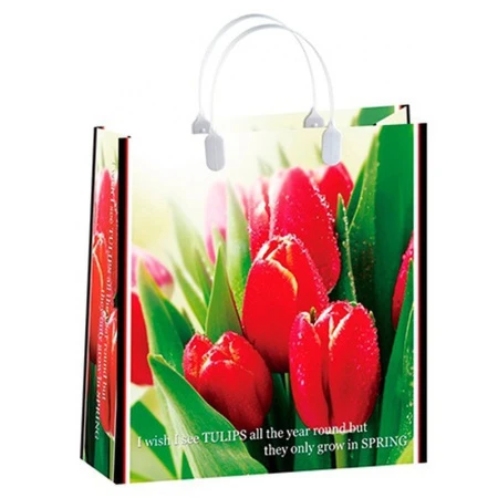 Пакет с пластиковой ручкой 30*30*10см Букет тюльпанов 02-098 (20/200)