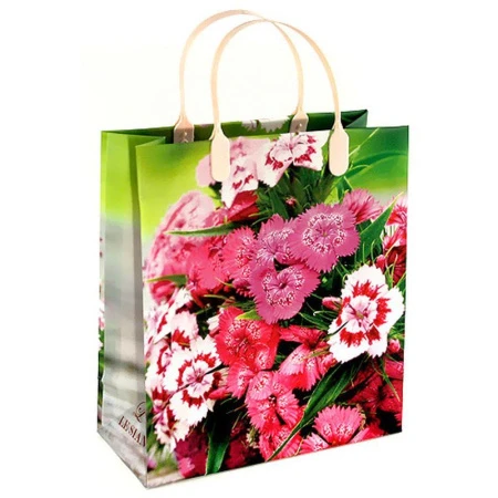 Пакет с пластиковой ручкой 23*25*10см Малиновый букет 01/127 мал. (20/200)