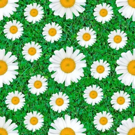 Клеенка ПВХ на нетканой основе АМАРАНТ 1,4*20м