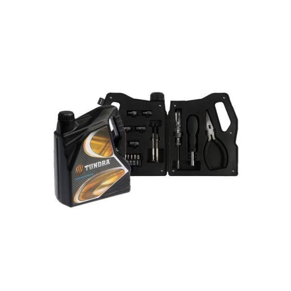 Набор инструментов металл 21пр в пласт.кейсе Канистра TUNDRA (50)