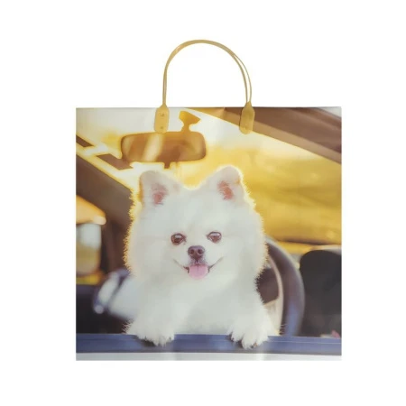 Пакет с пластиковой ручкой 30*30*10см Пушистик 02-154 (20/200)