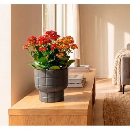 Кашпо 1,9л 180мм пластик КАРЕ со вставкой графитовый (8)