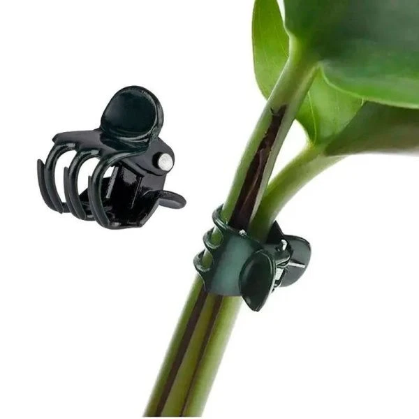 Зажимы для садовых растений набор 20шт 1,5*1,8см пластик (50) Зажимы для садовых растений набор 20шт 1,5*1,8см пластик (50)