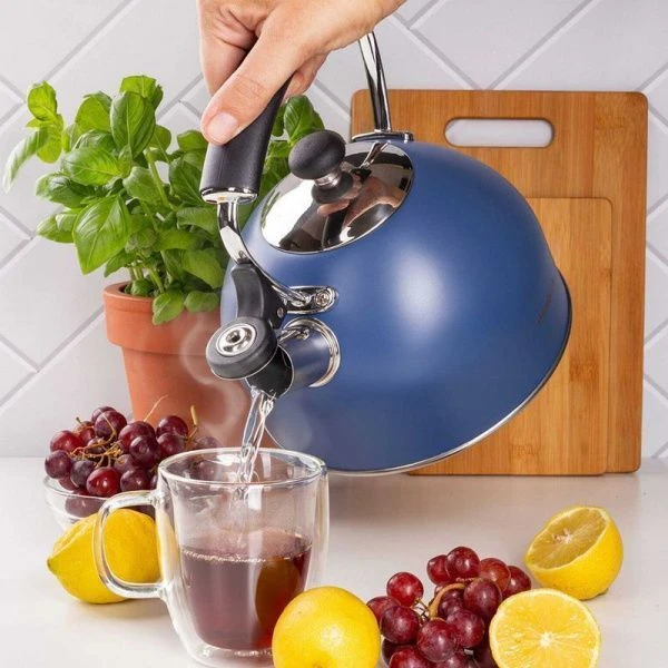 Чайник со свистком 2,2л нерж.сталь арт.100327 (12)