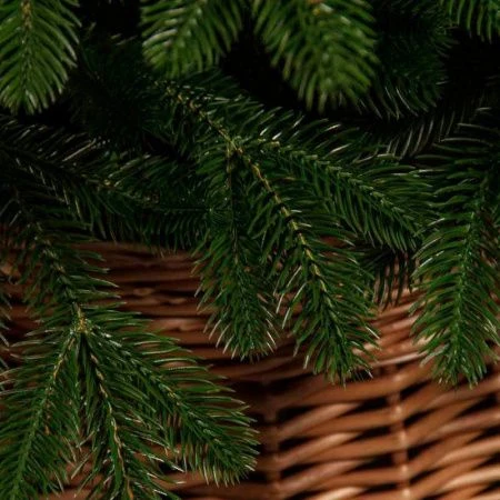 Елка искусственная 230см Изольда с литыми ветками РЕ ИЗЛ-230 (1)