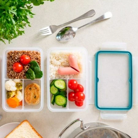 Контейнер пищевой 1л 20,1*13,1*6,4см пластик Экстра лок Bright с разделителями хвоя (12)