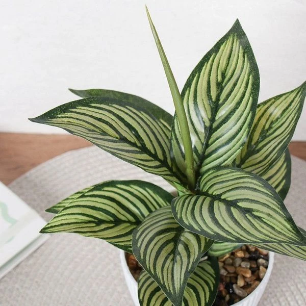 Цветы искусственные Диффенбахия 26см пластик 9090-12 (12/72)