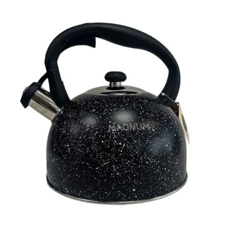 Чайник со свистком 3л нерж.сталь (12)