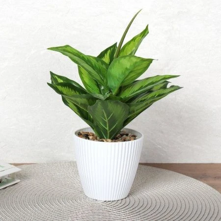 Цветы искусственные Диффенбахия 26см пластик 9090-12 (12/72)