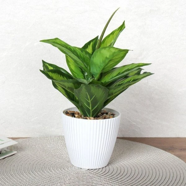 Цветы искусственные Диффенбахия 26см пластик 9090-12 (12/72)