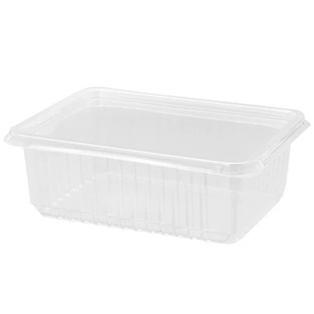 Контейнер одноразовый 1000мл 179*132*64мм полистирол прямоугольный прозрачный с крышкой (20/500/50/450) 240-0751