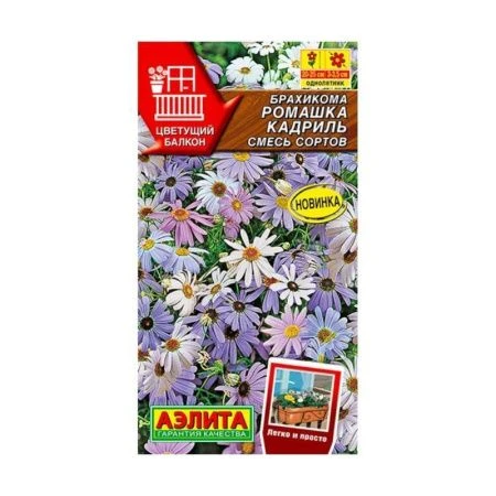 Семена цветов Брахикома Ромашка кадриль смесь сортов 0,1г (цветной пакет)