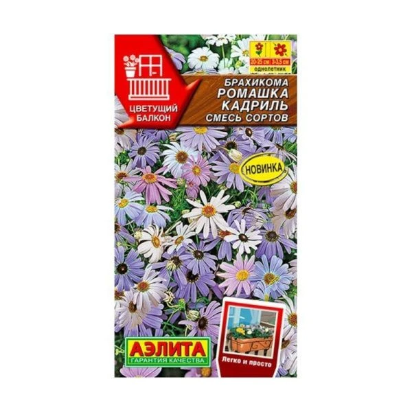 Семена цветов Брахикома Ромашка кадриль смесь сортов 0,1г (цветной пакет)