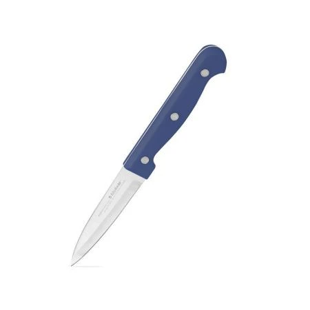 Нож для фруктов 9см нерж.сталь MAGNIFICA BASIC синий AKM404-N (6)