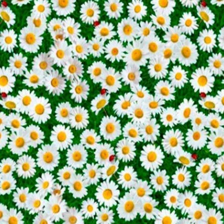 Клеенка ПВХ на нетканой основе FLORISTA 1,4*20м Турция