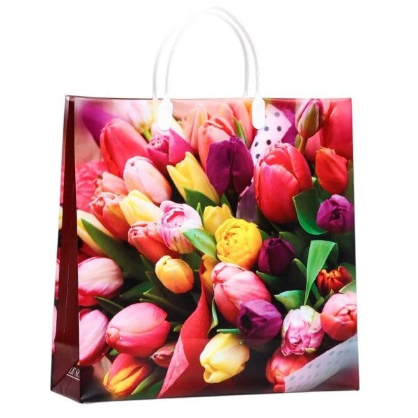 Пакет с пластиковой ручкой полиэтилен 30*30*10см Море тюльпанов (20/200)