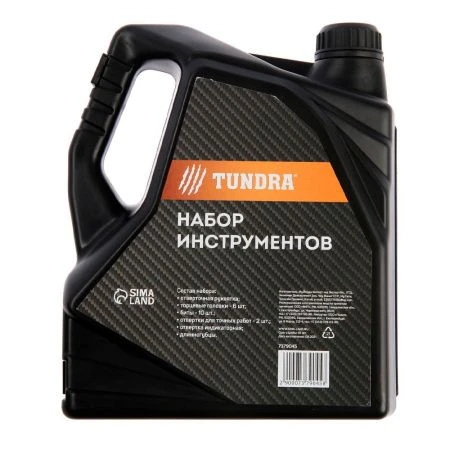 Набор инструментов металл 21пр в пласт.кейсе Канистра TUNDRA (50)