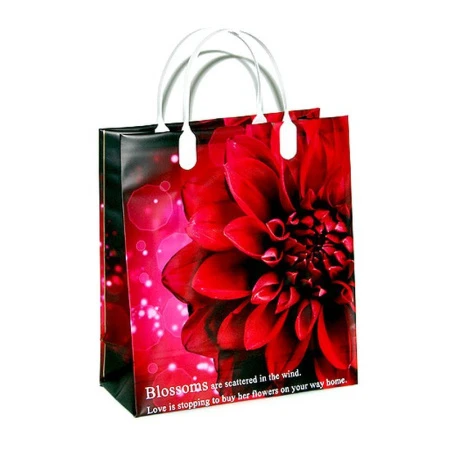 Пакет с пластиковой ручкой 23*25*10см Королевский георгин 01-064 мал. (20/200)
