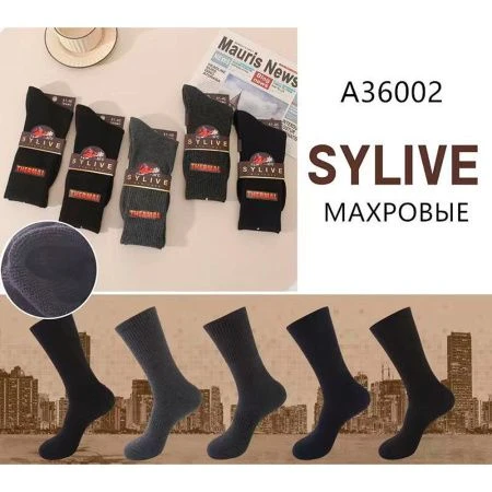 Носки мужские высокие махровые термо 36002 р.41-46 (10)