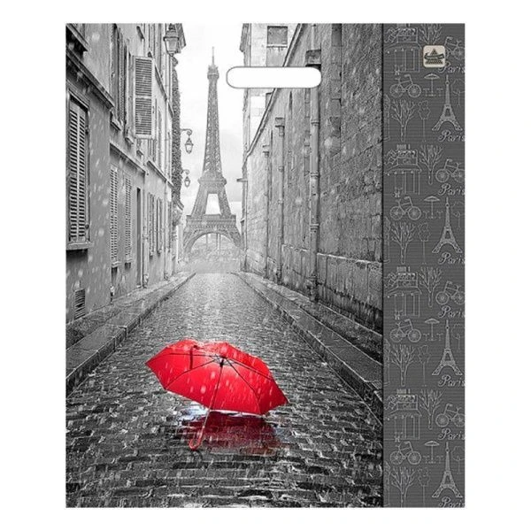 Пакет с вырубной ручкой 38*45+3см полиэтилен Мой Париж (50/500)