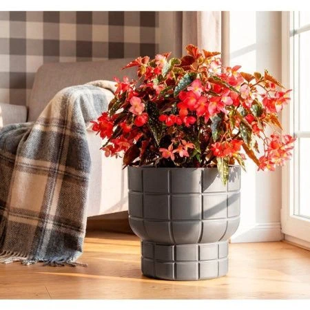 Кашпо 7,8л 280мм пластик КАРЕ со вставкой графитовый (1)