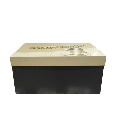 Коробка подарочная картонная 23 февраля 26х17,5х11см